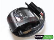 KAWASAKI 2012 Rendszámtábla világítás