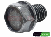 KAWASAKI 2006 Olaj leeresztő csavar