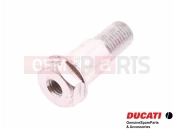 DUCATI 2006 Multistrada 1000 Oldalsztender csavar
