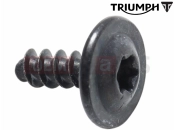 Triumph 2021 Tiger 1200 Alpine Csavar (4x1)