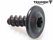 Triumph 2016 Tiger 800 674842 > TIGER XRT Csavar (4x1)
