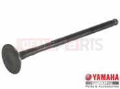 YAMAHA BWS 50 YW 50 YW50F [US,CA] (1CDC) 2017 Szelep (EX)