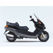 YAMAHA Skyliner 250 YP 250 YP250A SKYLINER (5DF4) 1999